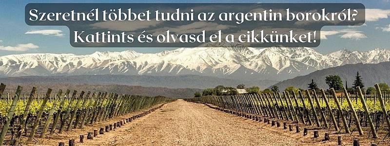 Mendoza malbec borai Argentína legjobbjai