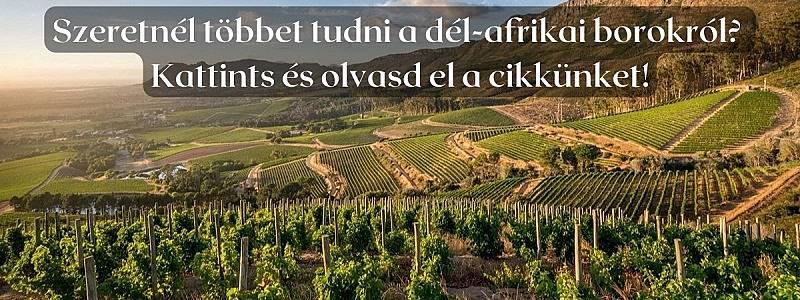 Betekintés a dél-afrikai borok világába