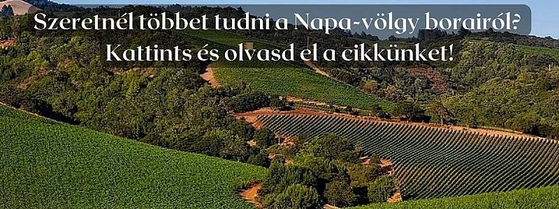 A kaliforniai Napa-völgy borainak világa