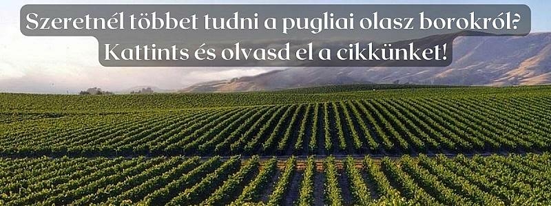 Puglia, az olasz primitivo borok őshazája