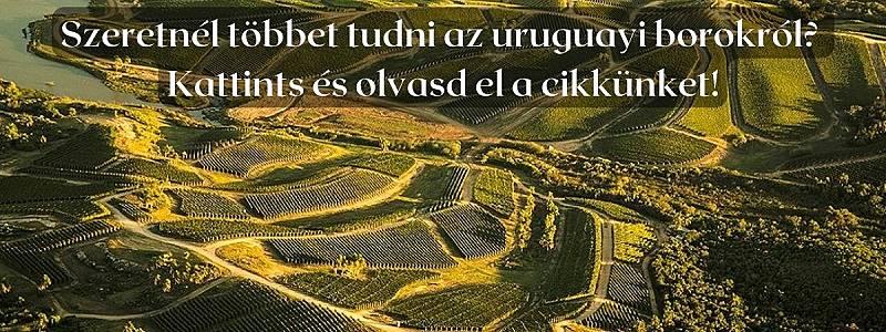 Uruguay, a Tannat második hazája