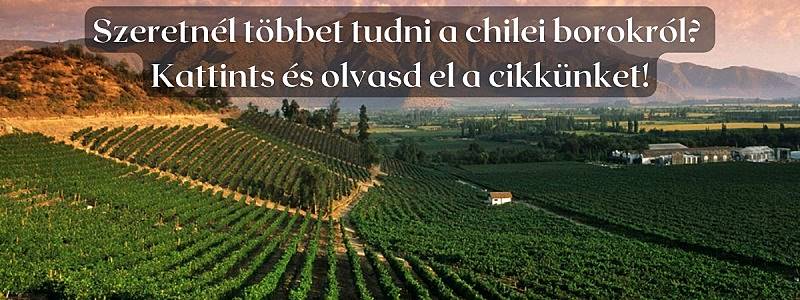 A chilei borvilág és a carmenére