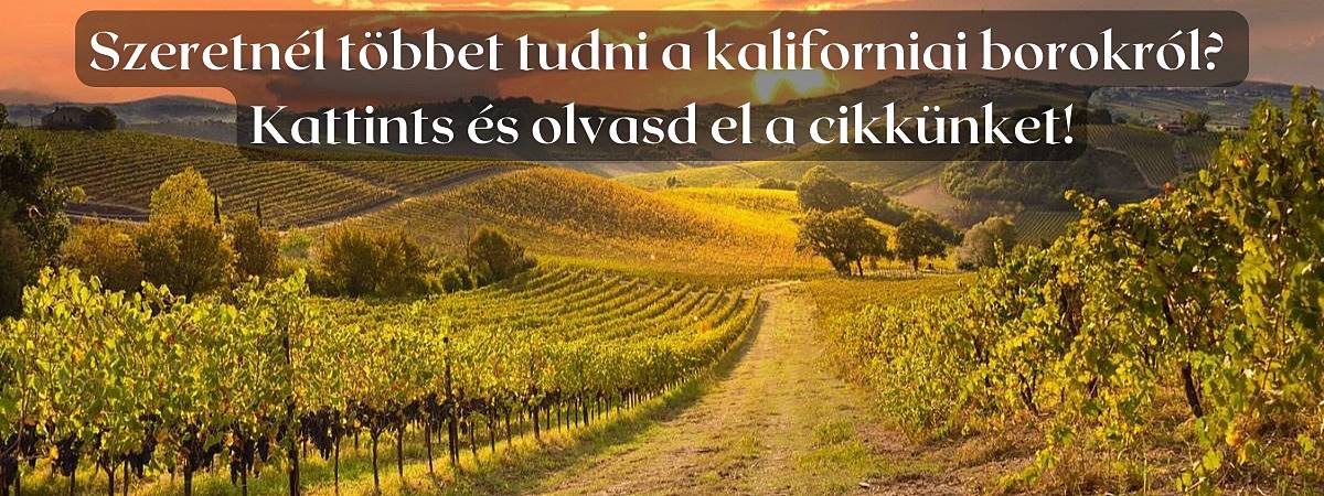 Amerikai legjobb borai a kaliforniai borvidékről