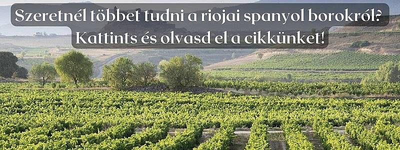 Spanyolország névjegye a Tempranillo bor Riojából