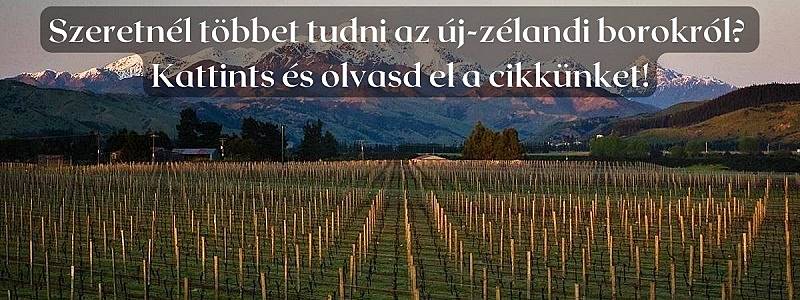 A sauvignon blanc Új-Zélandon